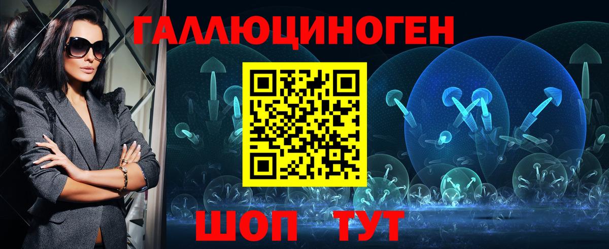 Советск  Псилоцибиновые грибы Psilocybine cubensis  Вход с VPN 